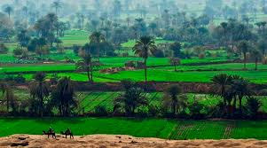 Click to open image!