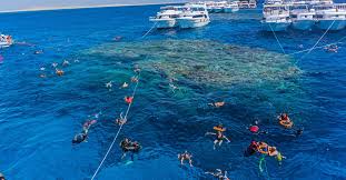 Click to open image!