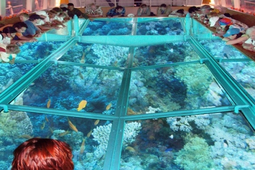 The Glass Boat